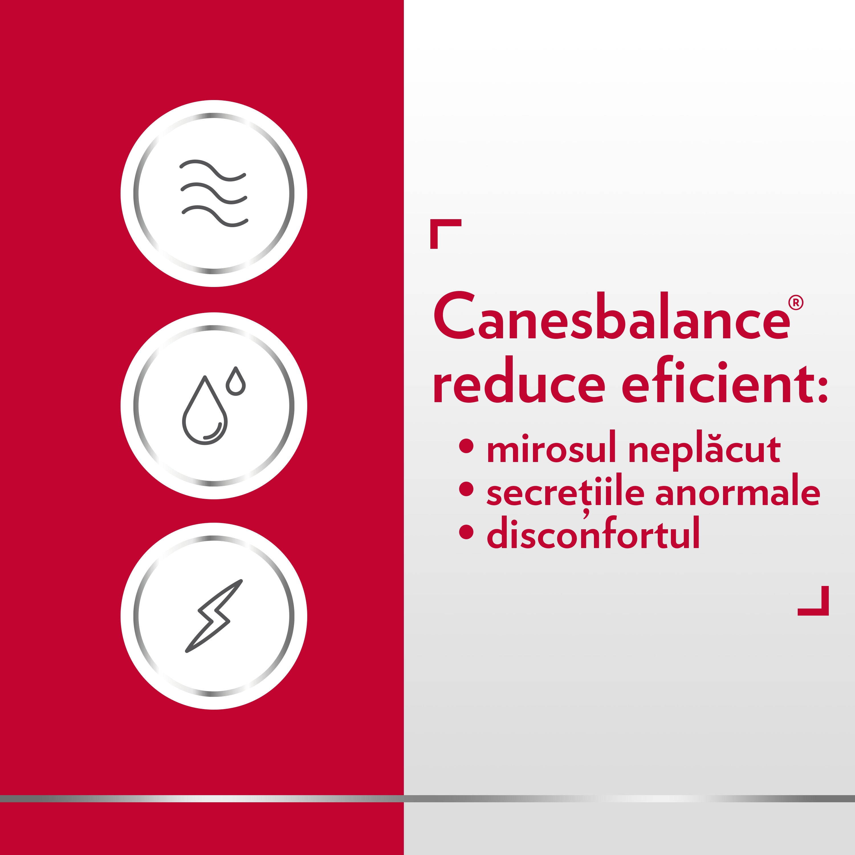 Trei imagini în cerc indicând mirosul, secrețiile și disconfortul, comentariu pe partea dreaptă a imaginii Canesbalance reduce eficient: 1. mirosul neplăcut 2. secrețiile anormale 3. disconfortul
